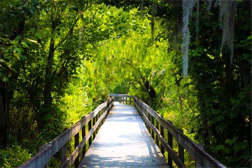 Houten loopbrug over het moeras van Jean Lafitte National Park in New Orleans